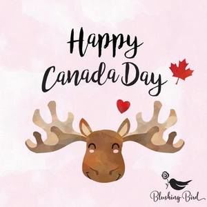 Meet your Posher, Anne